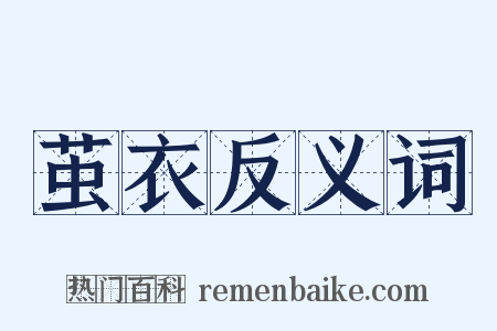 茧衣反义词是什么意思的图片